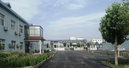 公司实景